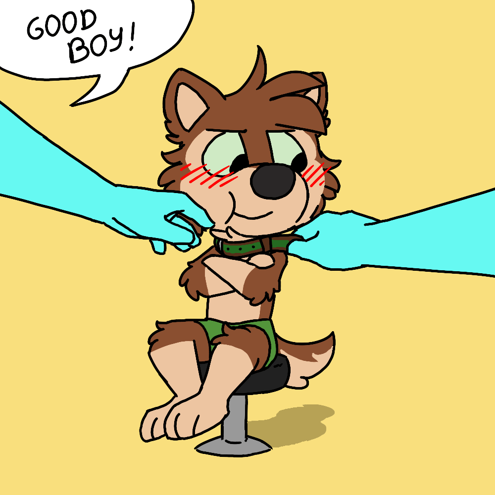 Good boy collar