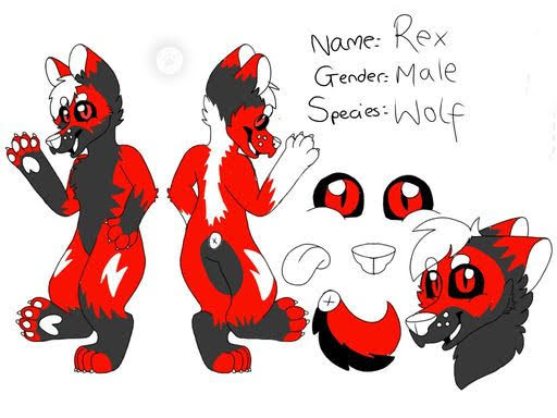 Rex the wolf