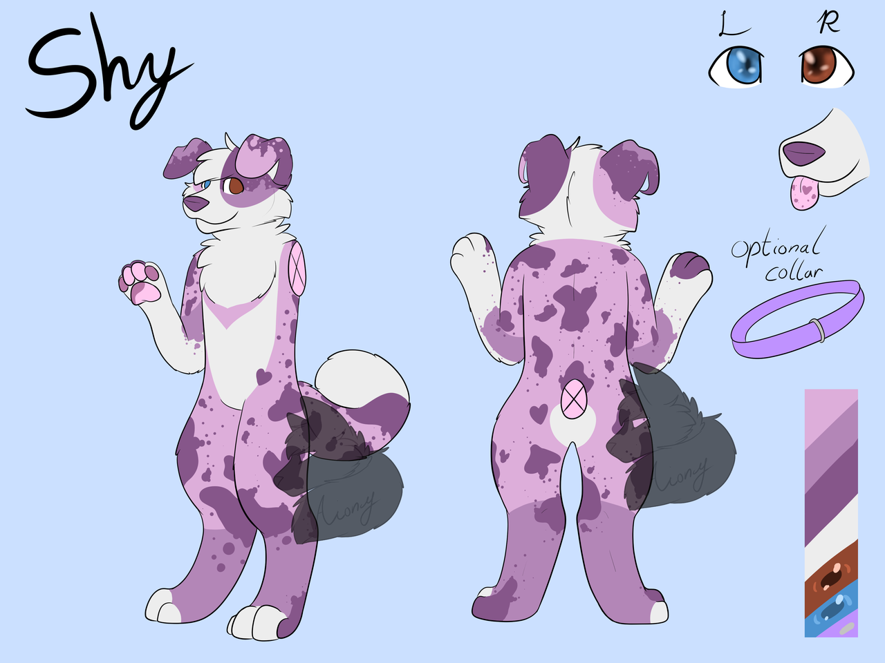 Shy design and ref