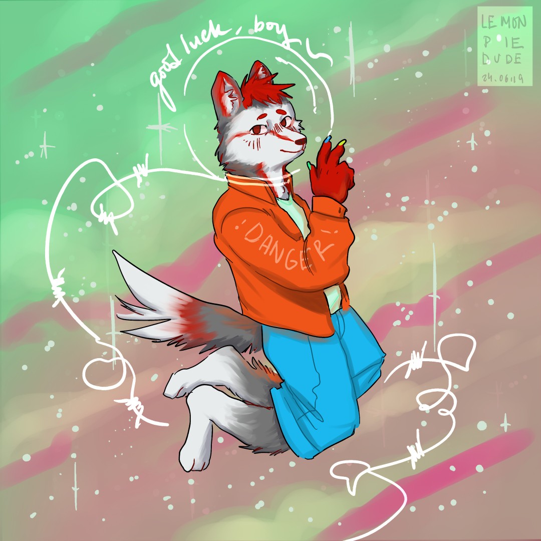 Husky in the space