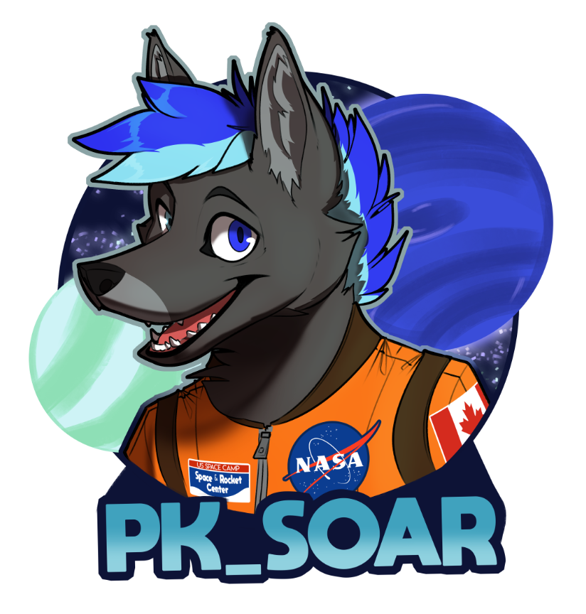 PK_Soar 2019 Con Badge