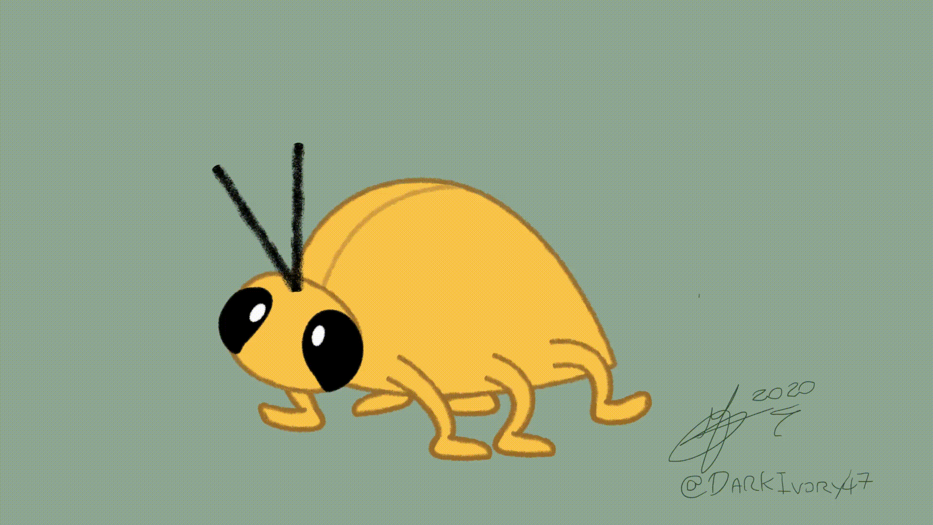 Dancy Bug