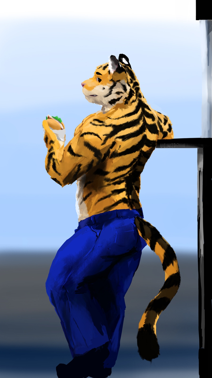 Tiger with pants (2017)