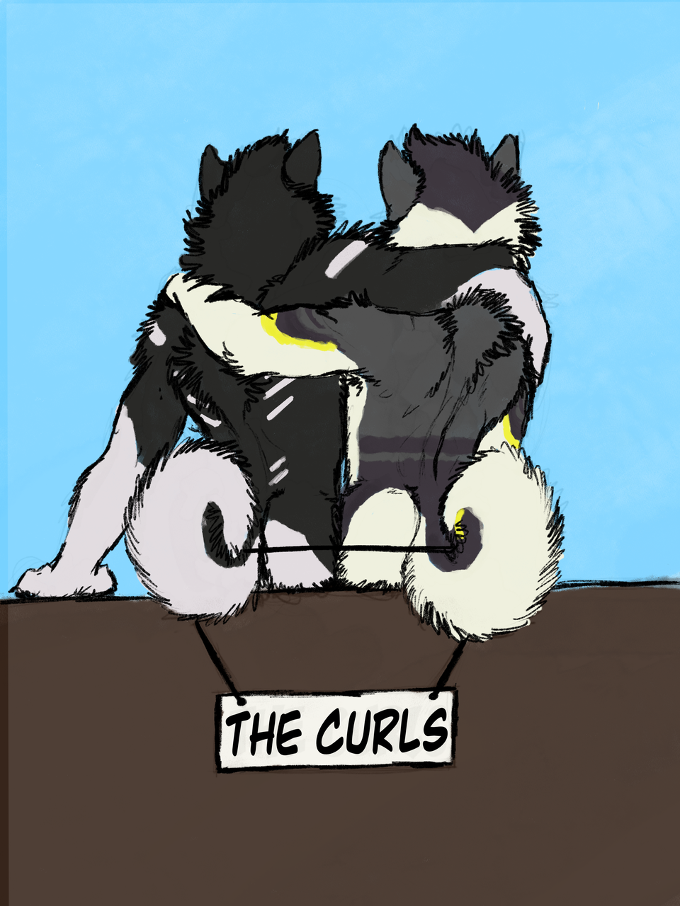 The Curls! By Vellum