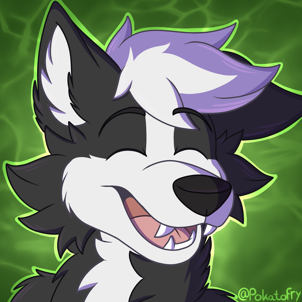 Laughing Collie x3