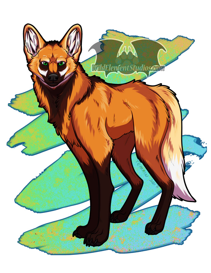 Maned Wolf - In Shop!