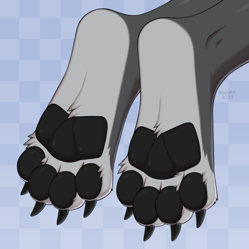 Paw Day Beans 🐾