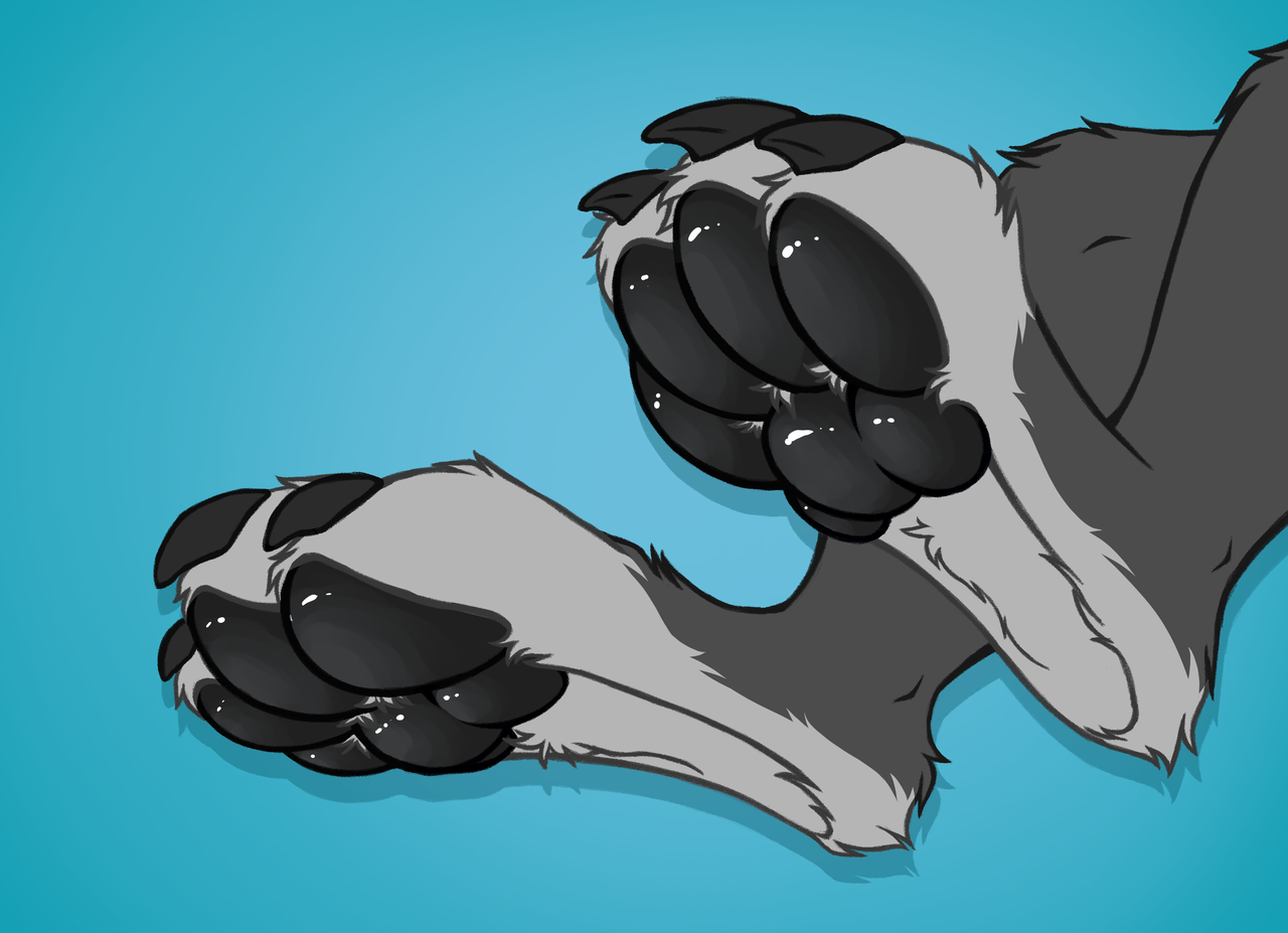 Beans YCH